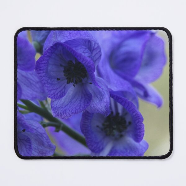 Item preview, Monkshood designed and sold by cuprum.