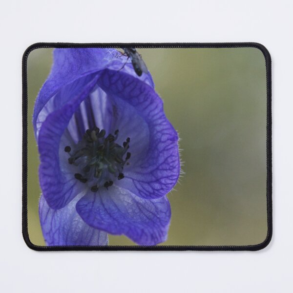 Item preview, Monkshood and guest designed and sold by cuprum.