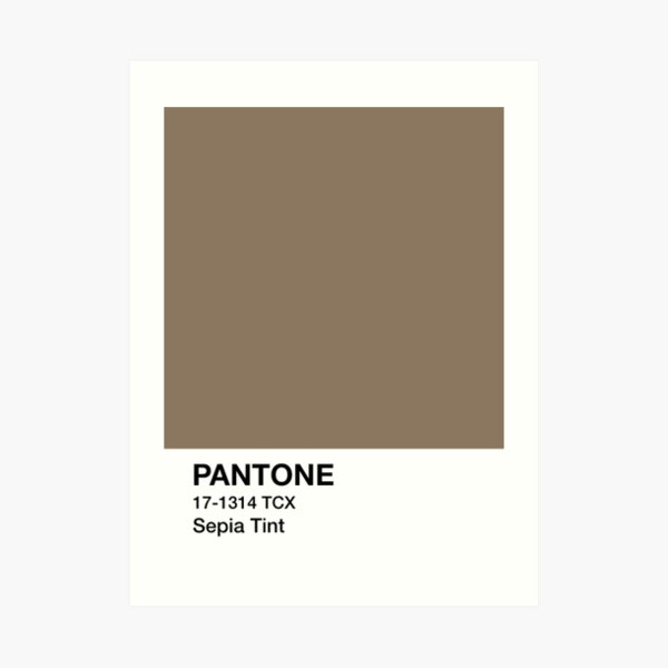 Pantone brown beige | Art Print