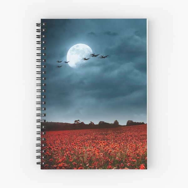 Item preview, Under a Summertime Moon designed and sold by Airpower Art.