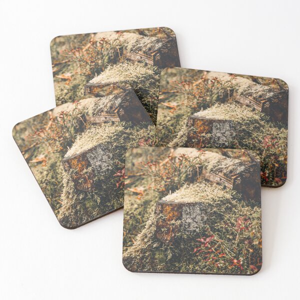 Item preview, Mossy Stump | Magic Ancient Forest of the North designed and sold by ElanUlv.