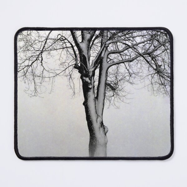 Item preview, The Winter Tree designed and sold by Brian Shaw.