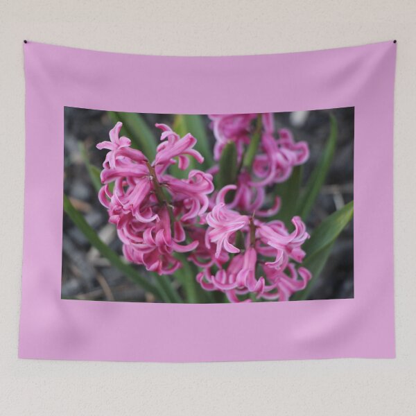 Item preview, Pretty Bright Pink Hyacinths designed and sold by JariHawk.