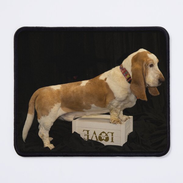 Item preview, A basset hound love  designed and sold by Photorebelle.