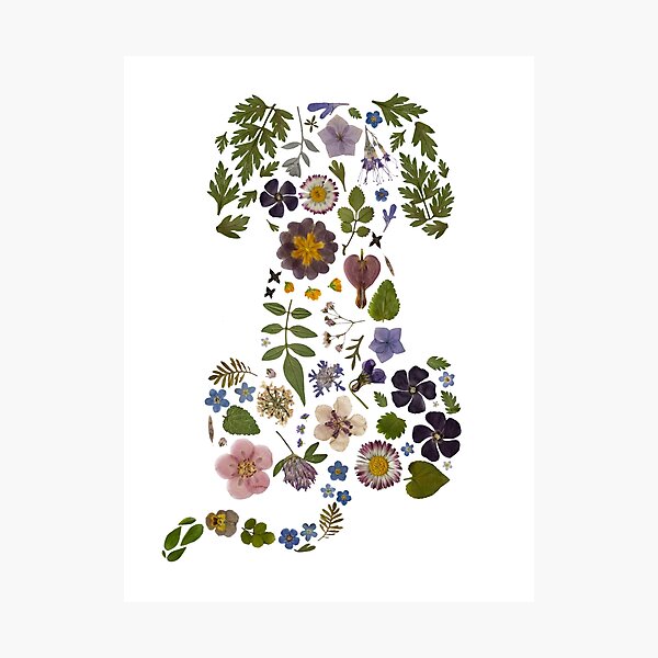 Item preview, Pressed Flower Art Puppy Dog designed and sold by Charlie Presses Flowers.