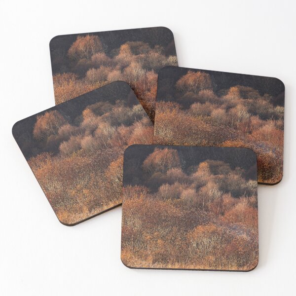 Item preview, Sunlight on Bare Trees Lochalsh Scotland designed and sold by PhotosEcosse.