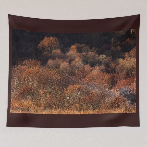Item preview, Sunlight on Bare Trees Lochalsh Scotland designed and sold by PhotosEcosse.