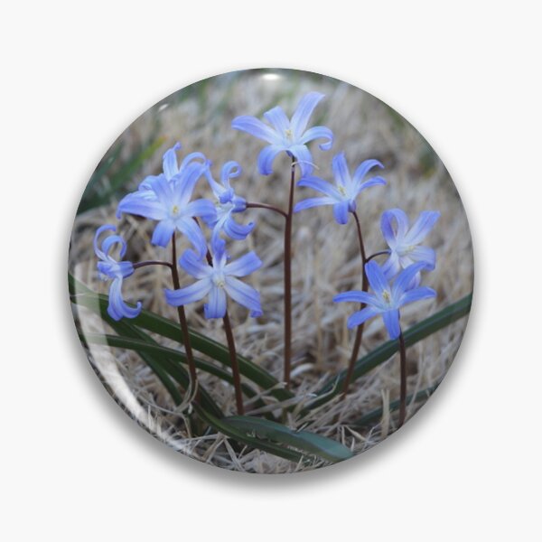 Item preview, Little Glory of the Snow Blue Flowers  designed and sold by JariHawk.