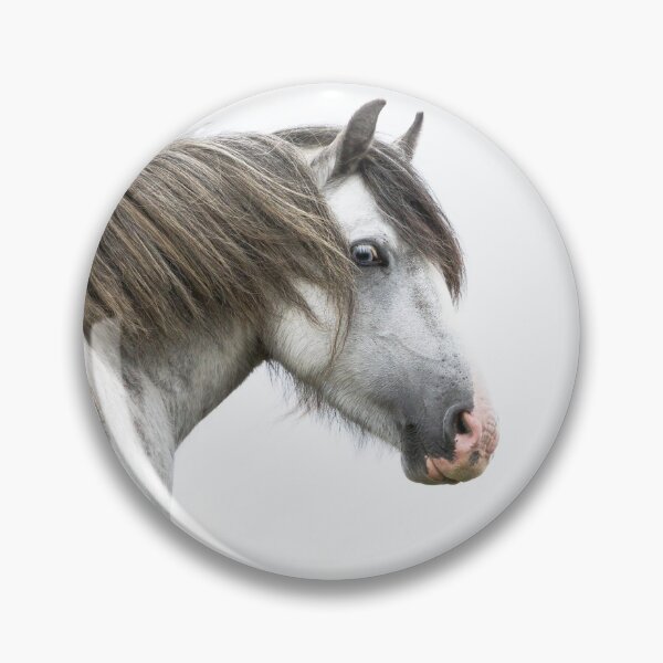 Item preview, Dapple Grey Pony designed and sold by Jane Stanley Photography.