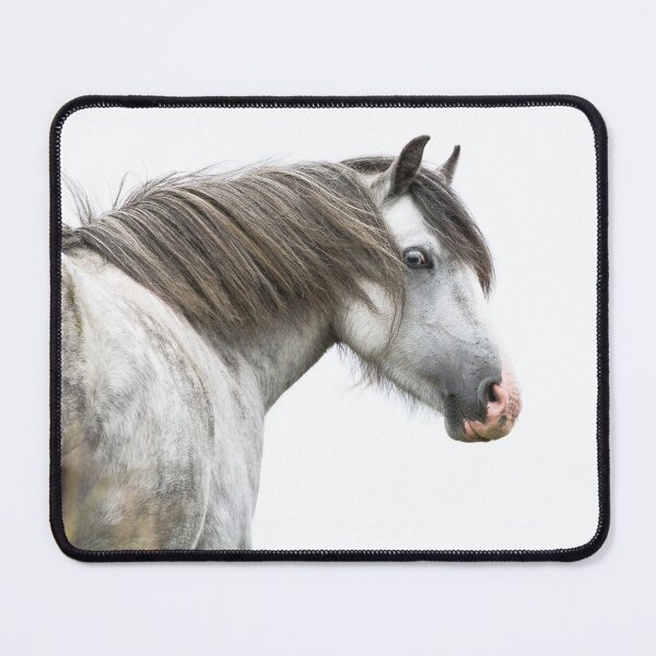 Item preview, Dapple Grey Pony designed and sold by Jane Stanley Photography.