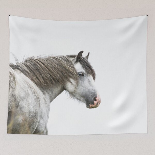 Item preview, Dapple Grey Pony designed and sold by Jane Stanley Photography.