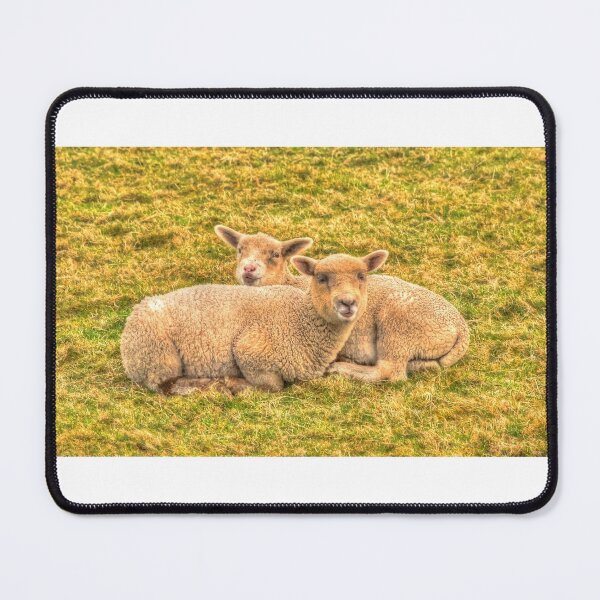Item preview, Two Sheep Together Snuggled Up in Field designed and sold by acceleratorhams.