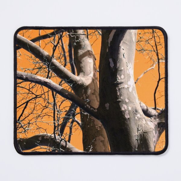 Item preview, Sycamore Tree with Orange Sky designed and sold by JariHawk.