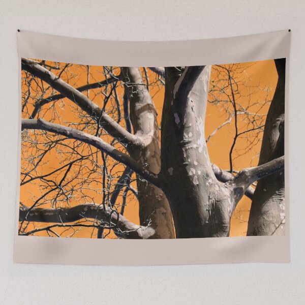 Item preview, Sycamore Tree with Orange Sky  designed and sold by JariHawk.