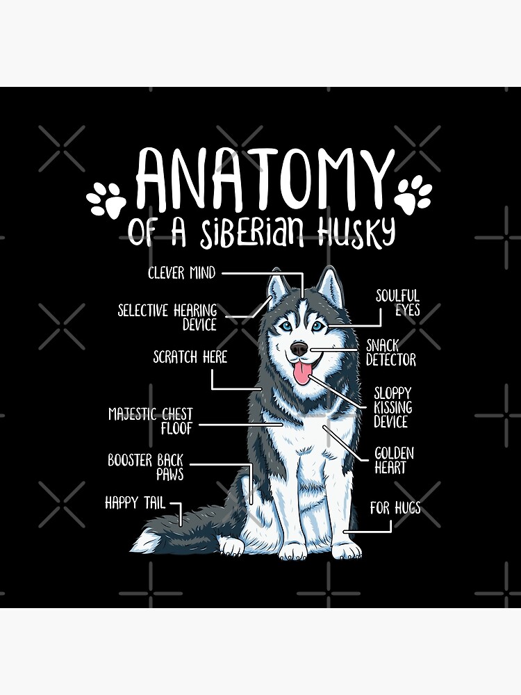 Anatomy Of A Siberian Husky #1 Tote Bag by Jose O - Fine Art America