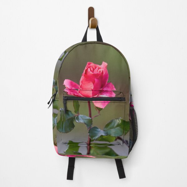 Item preview, Some pink for Autumn. Last roses of the year designed and sold by Jouko Lehto Photography.