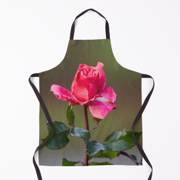 Item preview, Some pink for Autumn. Last roses of the year designed and sold by Jouko Lehto Photography.