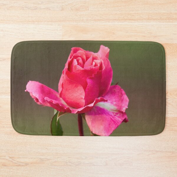 Item preview, Some pink for Autumn. Last roses of the year designed and sold by Jouko Lehto Photography.