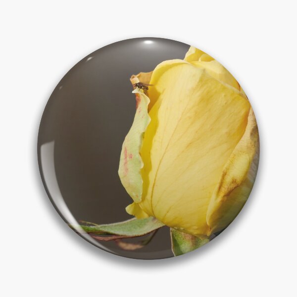 Item preview, Watchtower scale. Last roses of the year designed and sold by Jouko Lehto Photography.