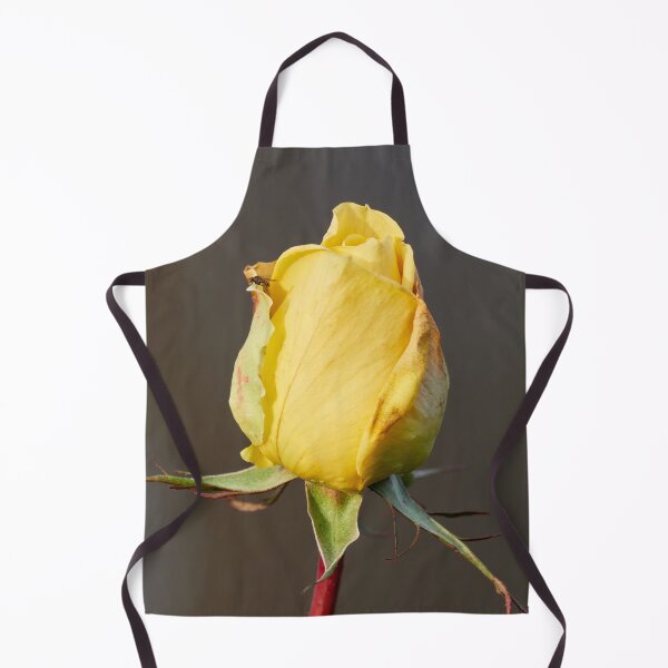 Item preview, Watchtower scale. Last roses of the year designed and sold by Jouko Lehto Photography.
