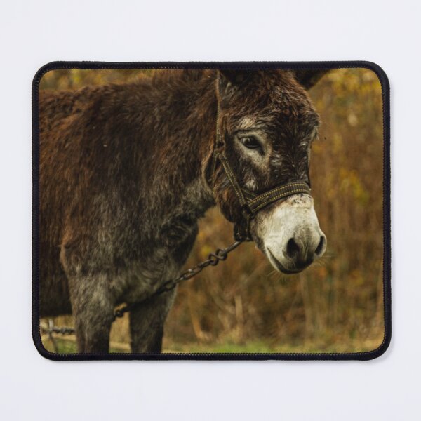 Item preview, Cute Curious Donkey in the Field designed and sold by ElanUlv.