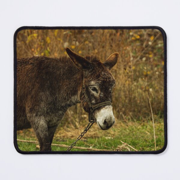 Item preview, Cute Donkey in the Pasture designed and sold by ElanUlv.