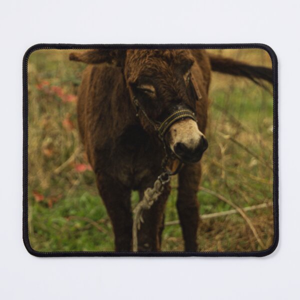 Item preview, Cute Little Donkey designed and sold by ElanUlv.