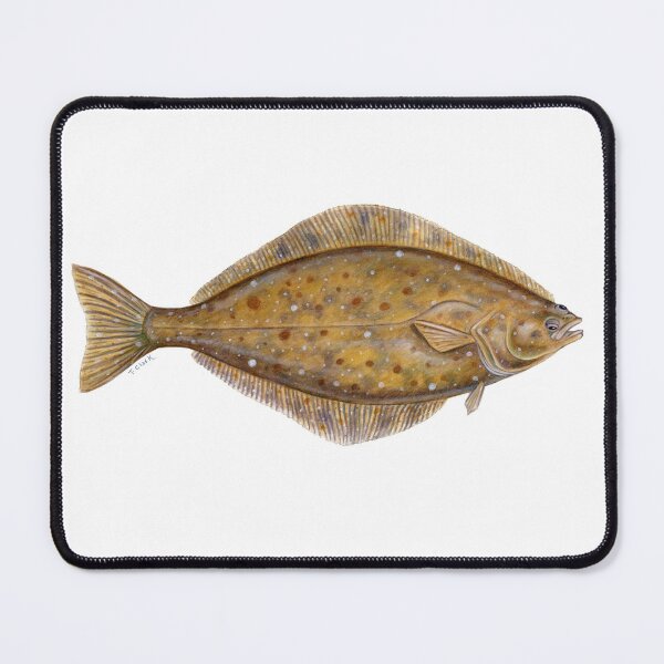 Item preview, Pacific Halibut (Hippoglossus stenolopsis) designed and sold by Tamara Clark.