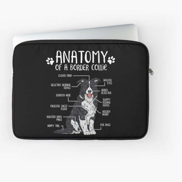 Item preview, Divertida anatomía del Border Collie Amante de los perros designed and sold by lanynx design.