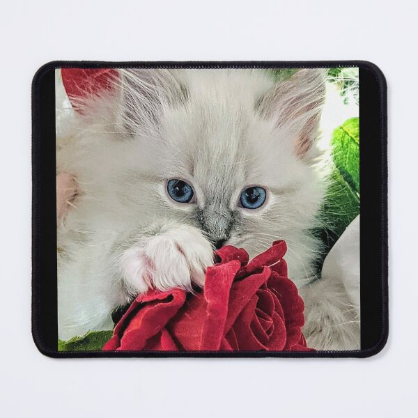 Item preview, Lynx ragdoll kitten designed and sold by Fluffycat2020.