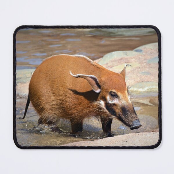 Item preview, Red River Hog designed and sold by Savannah Gibbs.