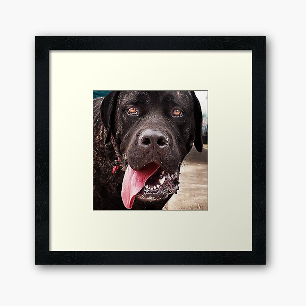 You Don’t Say! Framed Art Print