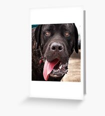 You Don’t Say! Greeting Card