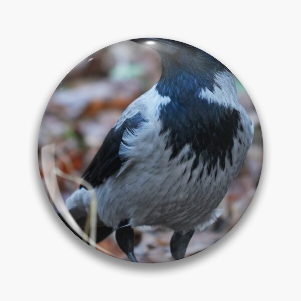 Item preview, Thinking about everything. Hooded crow designed and sold by Jouko Lehto Photography.