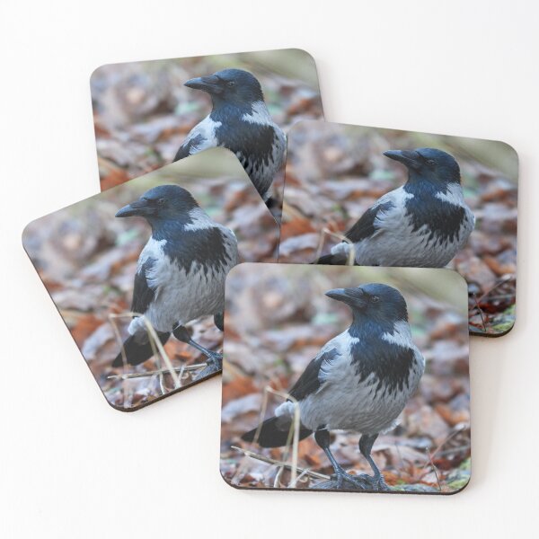 Item preview, Thinking about everything. Hooded crow designed and sold by Jouko Lehto Photography.