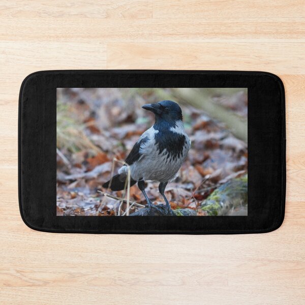 Item preview, Thinking about everything. Hooded crow designed and sold by Jouko Lehto Photography.