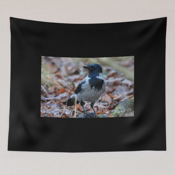 Item preview, Thinking about everything. Hooded crow designed and sold by Jouko Lehto Photography.