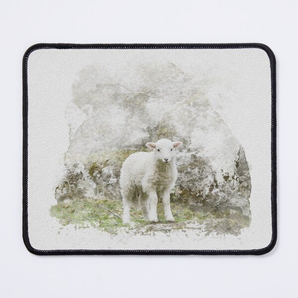 Item preview, Little Welsh Lamb Watercolour Photograph designed and sold by Jane Stanley Photography.