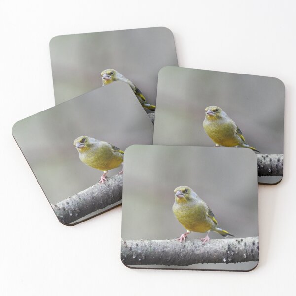 Item preview, Green on a gray day. European greenfinch designed and sold by Jouko Lehto Photography.