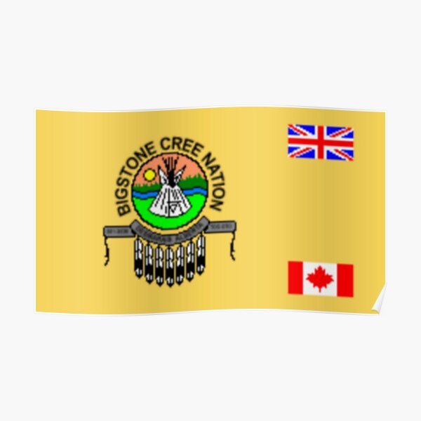 Flag Of The Bigstone Cree Nation Canada Poster By Mo91 Redbubble