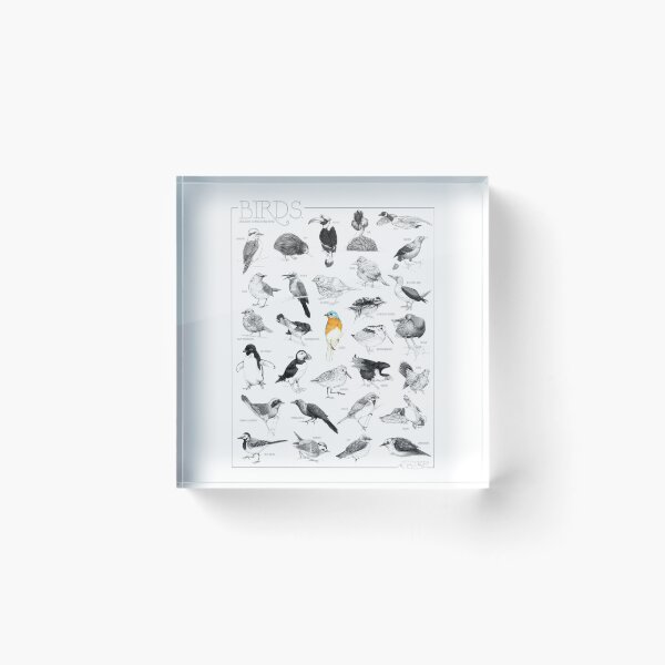 Item preview, Birds: An Illustrated Study designed and sold by eemorrisart.