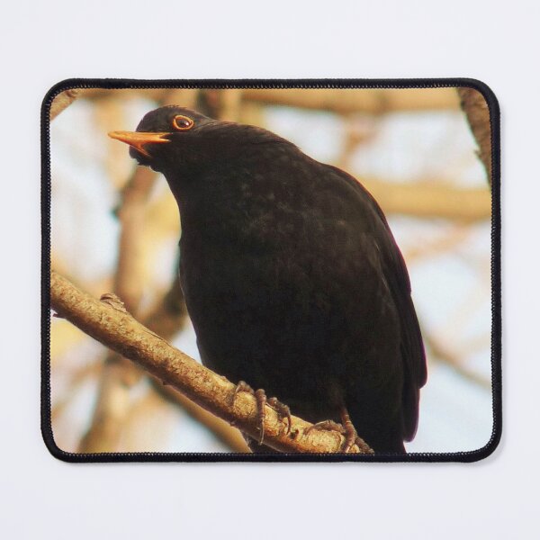 Item preview, Charming Black Bird designed and sold by Haloproductions.