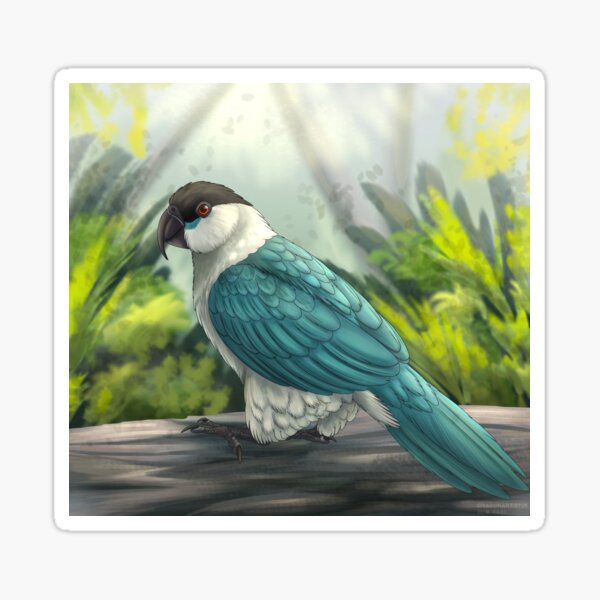 Item preview, Blue Caique designed and sold by DragonArtist15.