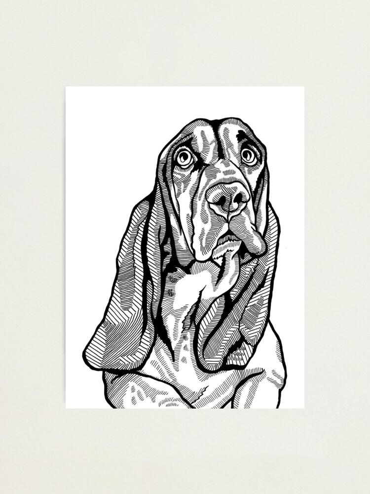 Impression photo for Sale avec l uvre Soulful Basset Hound Dog