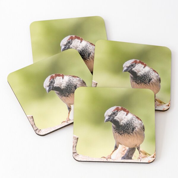 Item preview, Sparrow designed and sold by carrizizi.