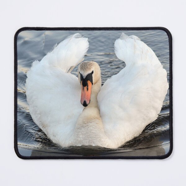 Item preview, Swan Cob - Woolston Weir, River Mersey designed and sold by Chris Monks.