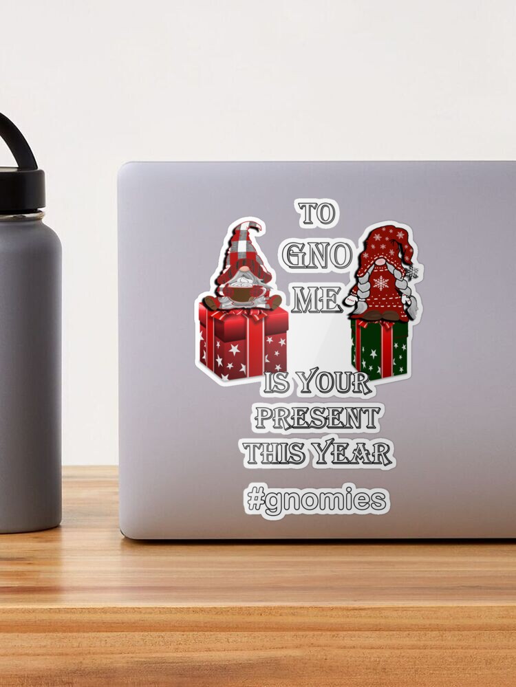 I Like Your Package - Funny Christmas Flask