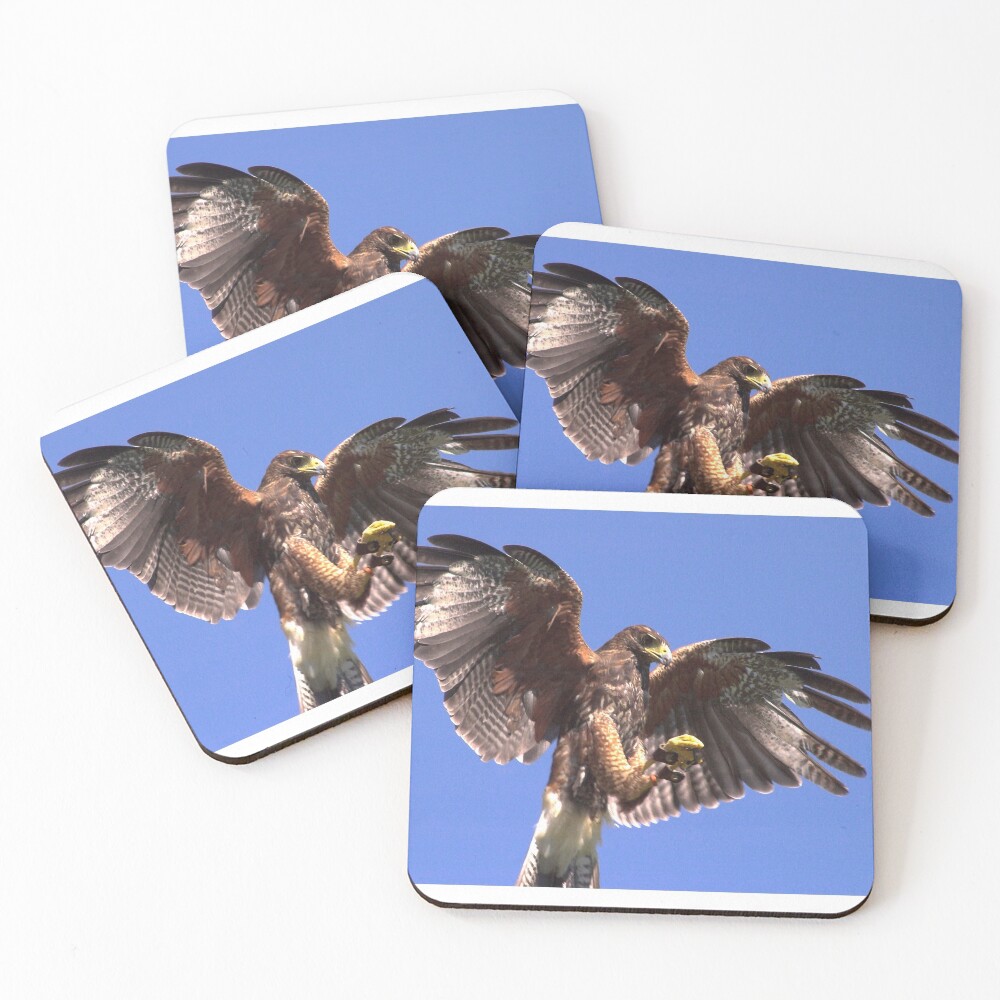 Item preview, Coasters (Set of 4) designed and sold by SWEEPER.