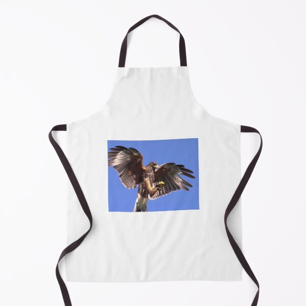 Item preview, Harris Hawk designed and sold by SWEEPER.