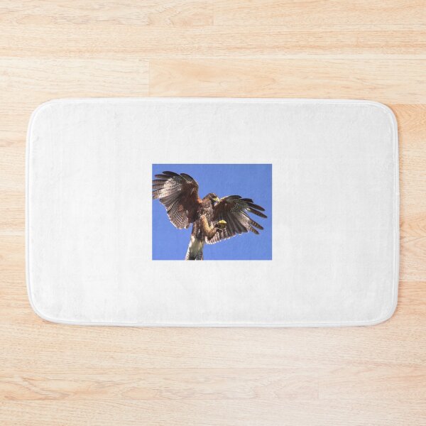 Item preview, Harris Hawk designed and sold by SWEEPER.
